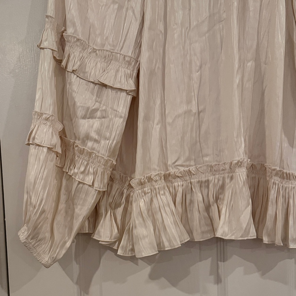 BCBGMaxAzria Cream Ruffled Blouse - Picture 12 of 13